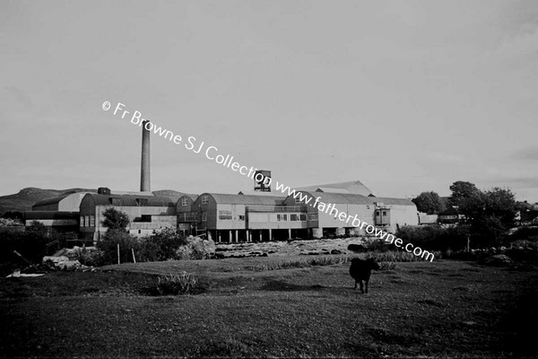 WIDE ANGLE PANORAMA OF MILL